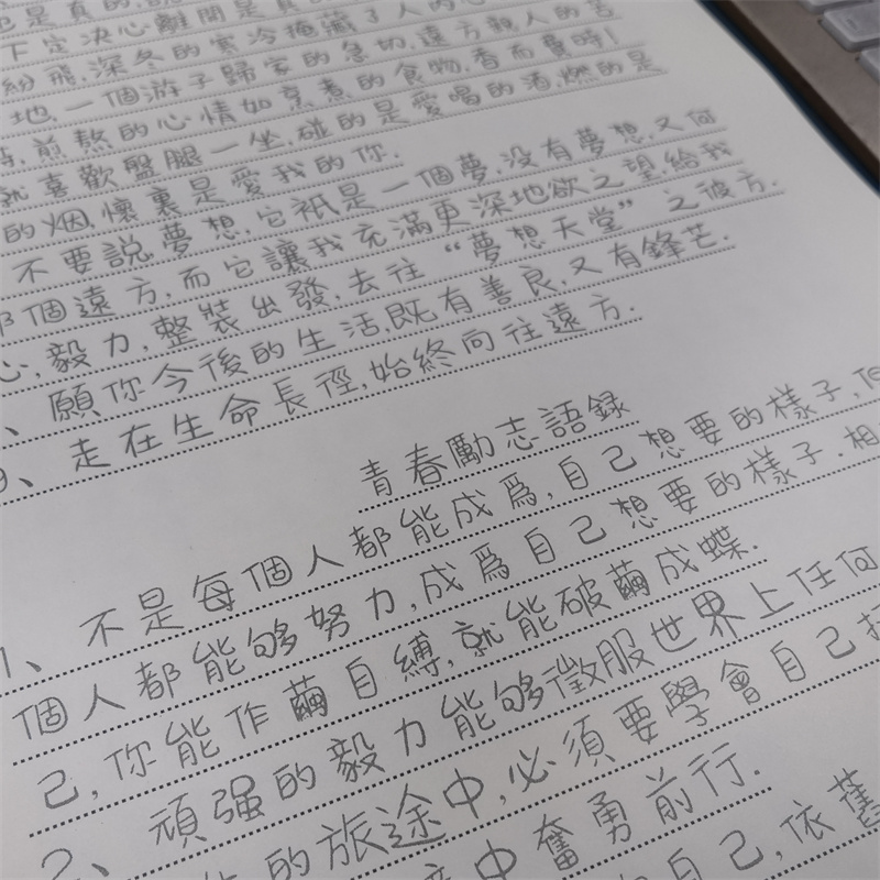 Cuaderno de caracteres chinos  - Chinese Calligraphy Practice Book reseña y precio